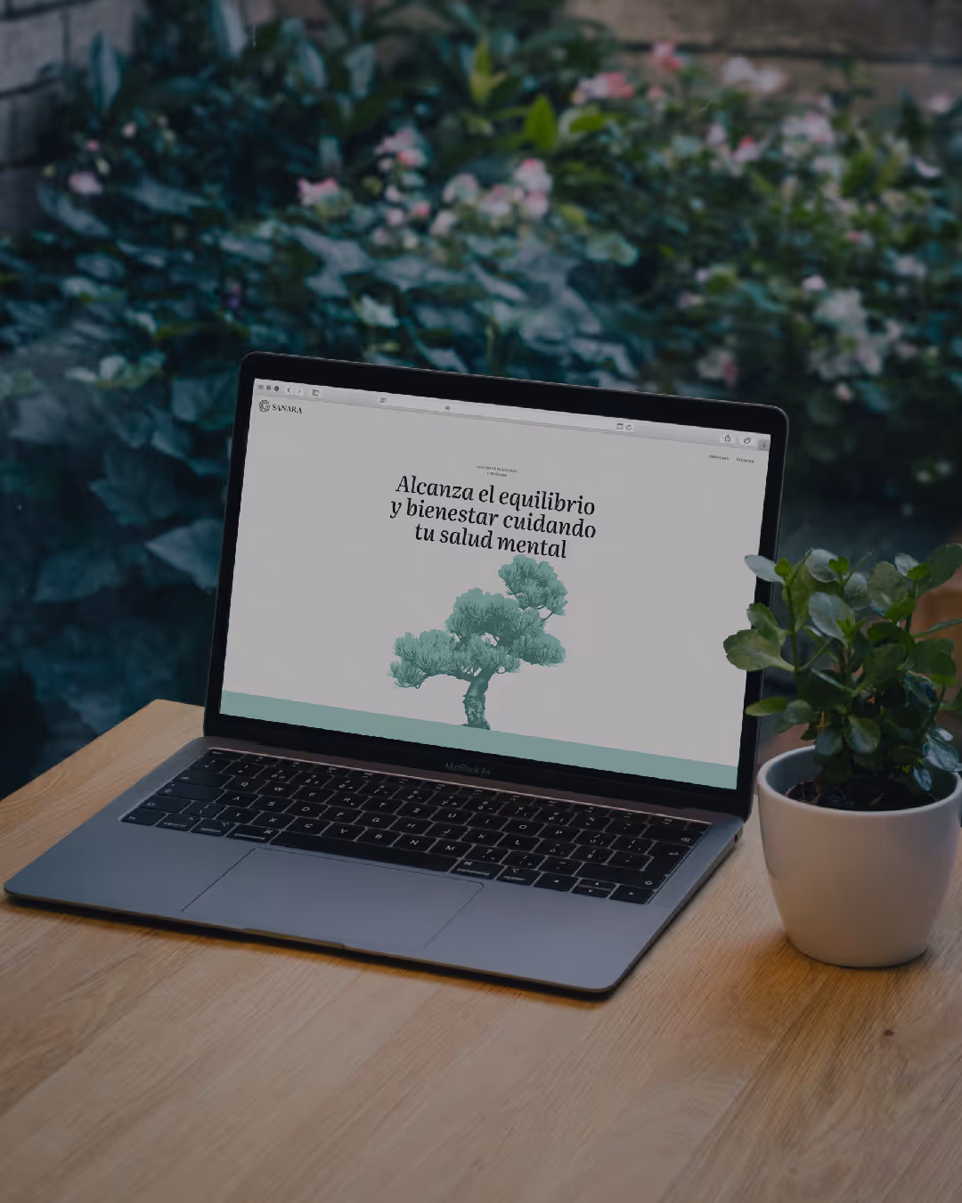 Diseño web de Sanara